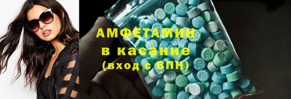 крисы Каменка