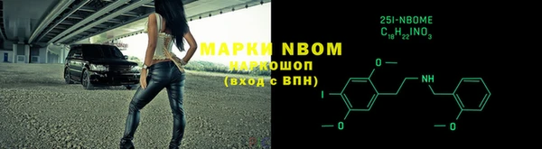 крисы Каменка