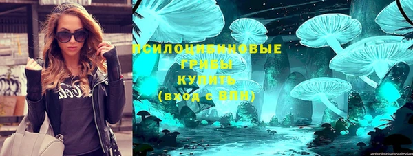 крисы Каменка