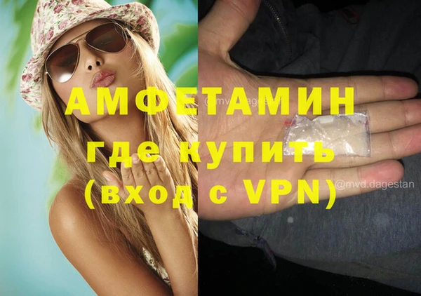 крисы Каменка