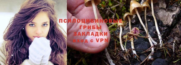 крисы Каменка