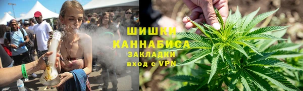 крисы Каменка